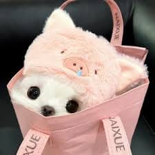 Karylle Yuzon avatar