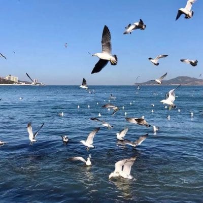 Andrea Brillantes's avatar